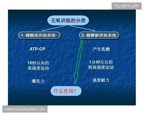 深圳羽毛球队整体压制打法深度分析与战术解读